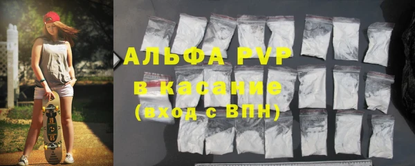 стаф Баксан