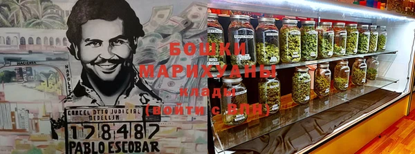 стаф Баксан