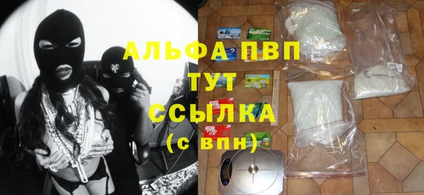 стаф Баксан