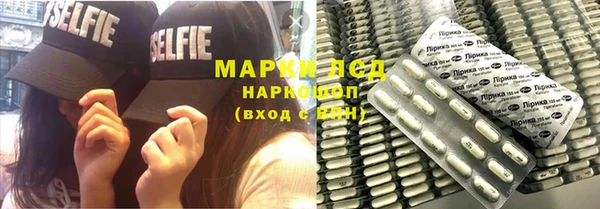 стаф Баксан