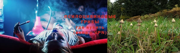 стаф Баксан